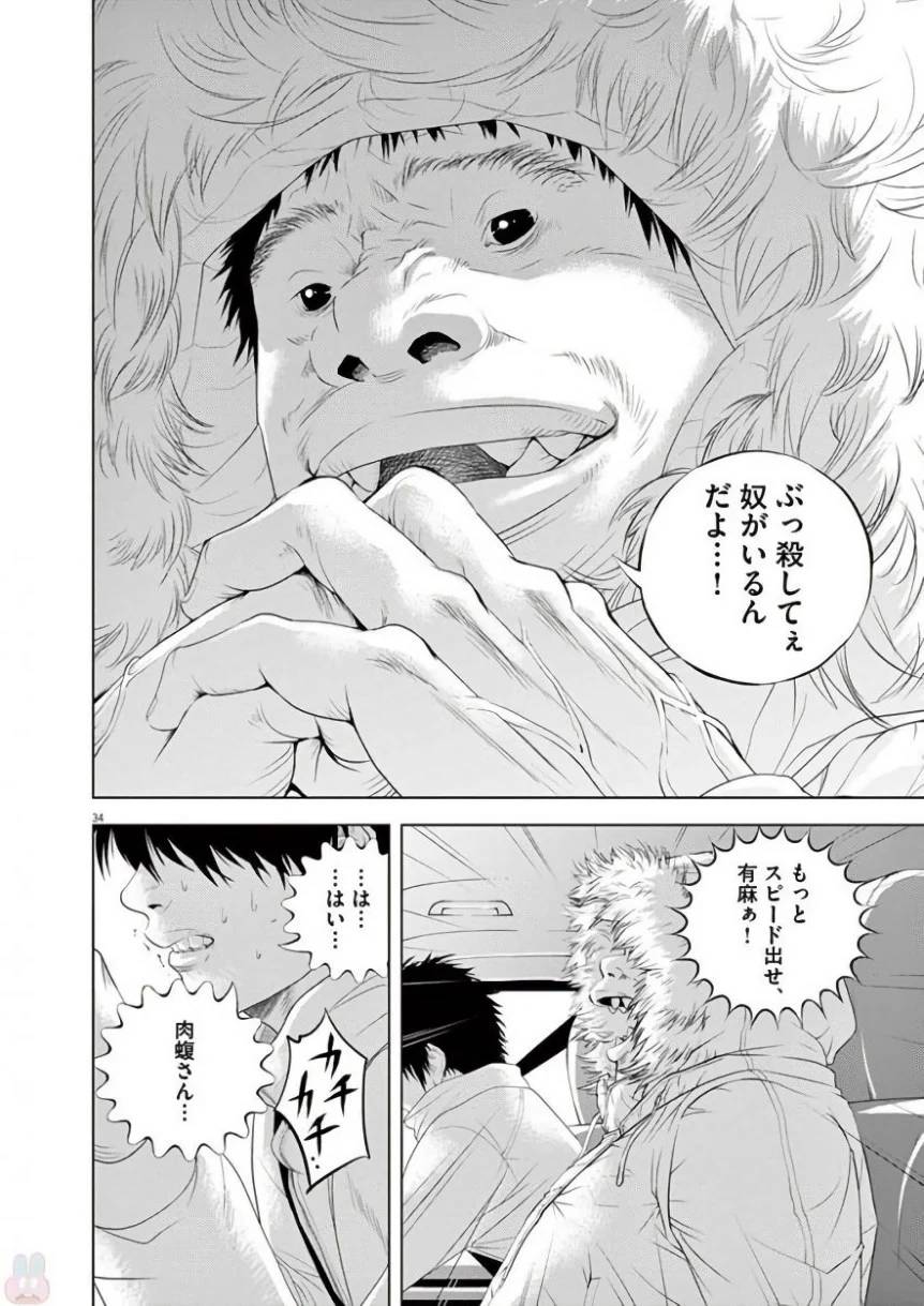 Page 223