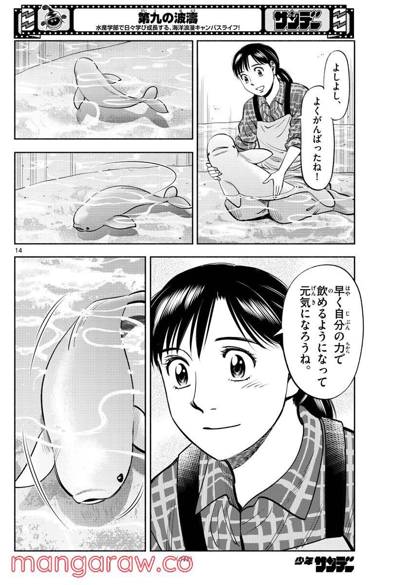 Page 13