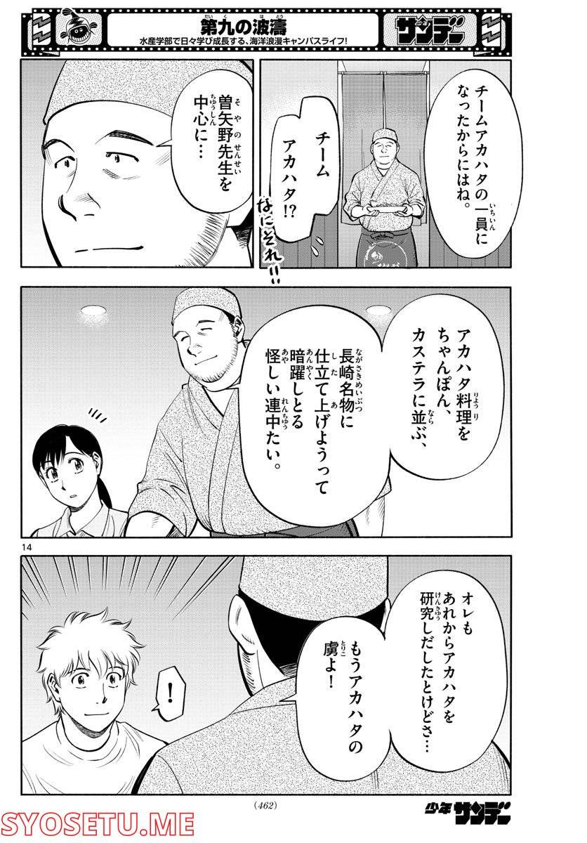 Page 13