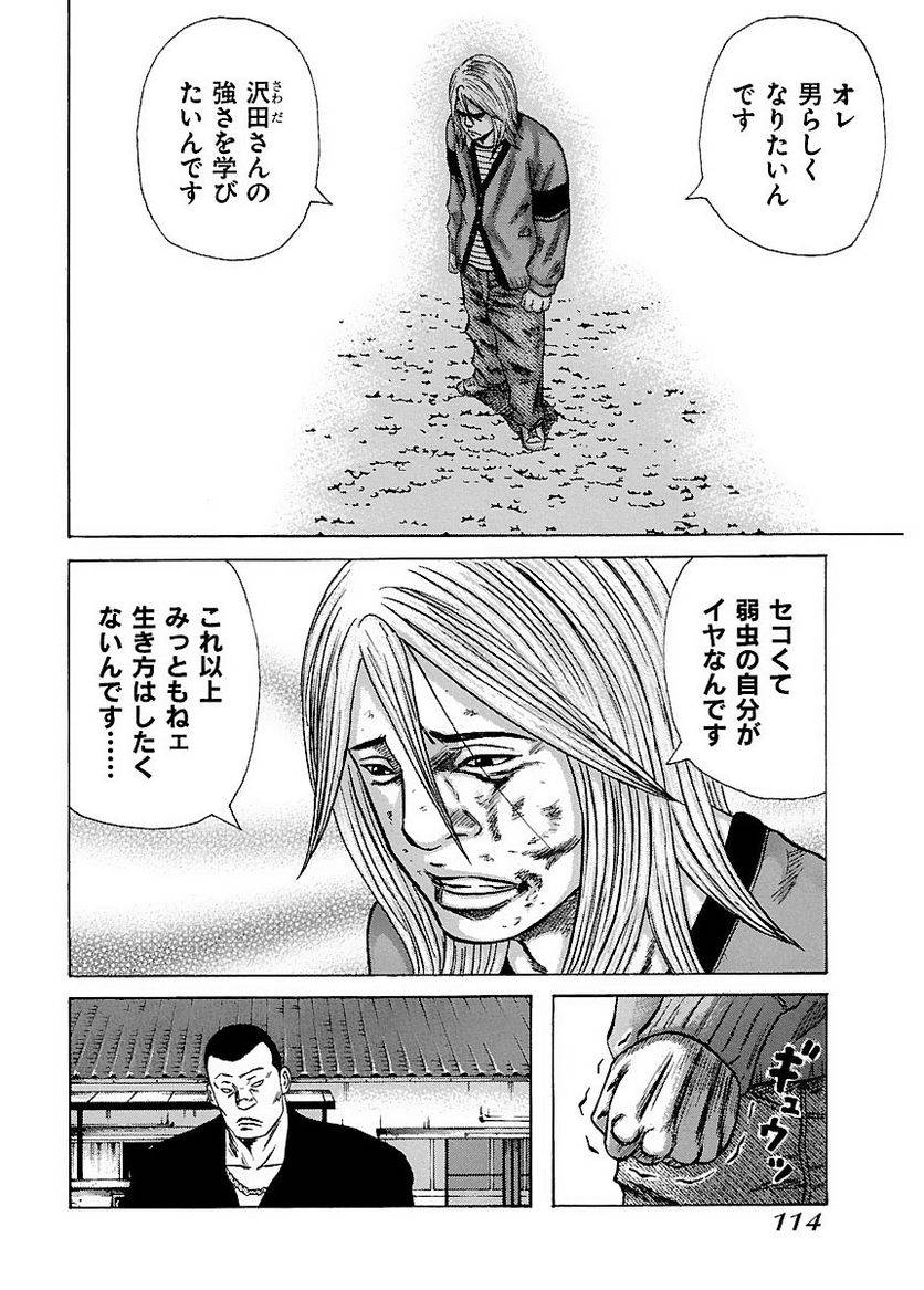 Page 113