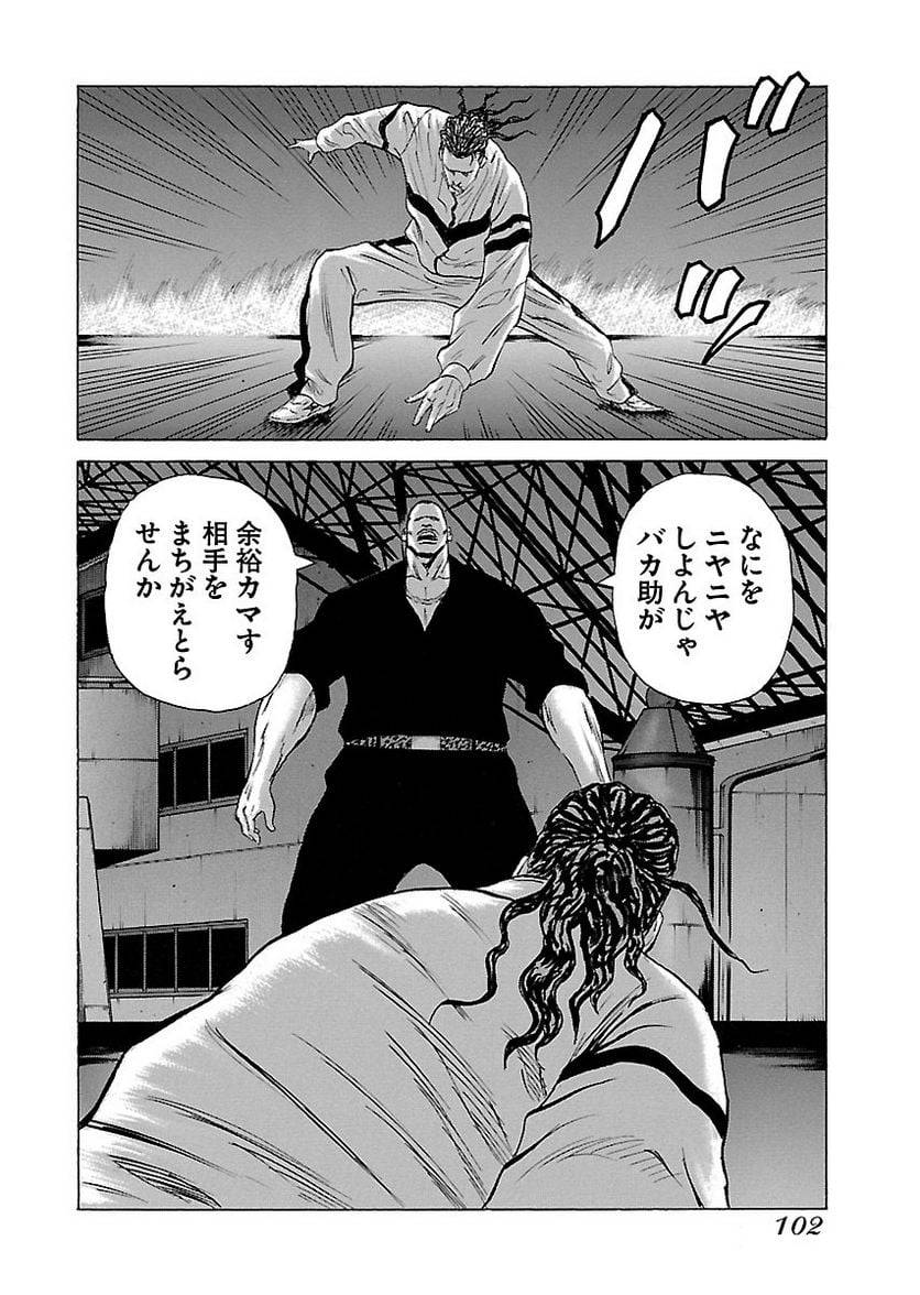 Page 101