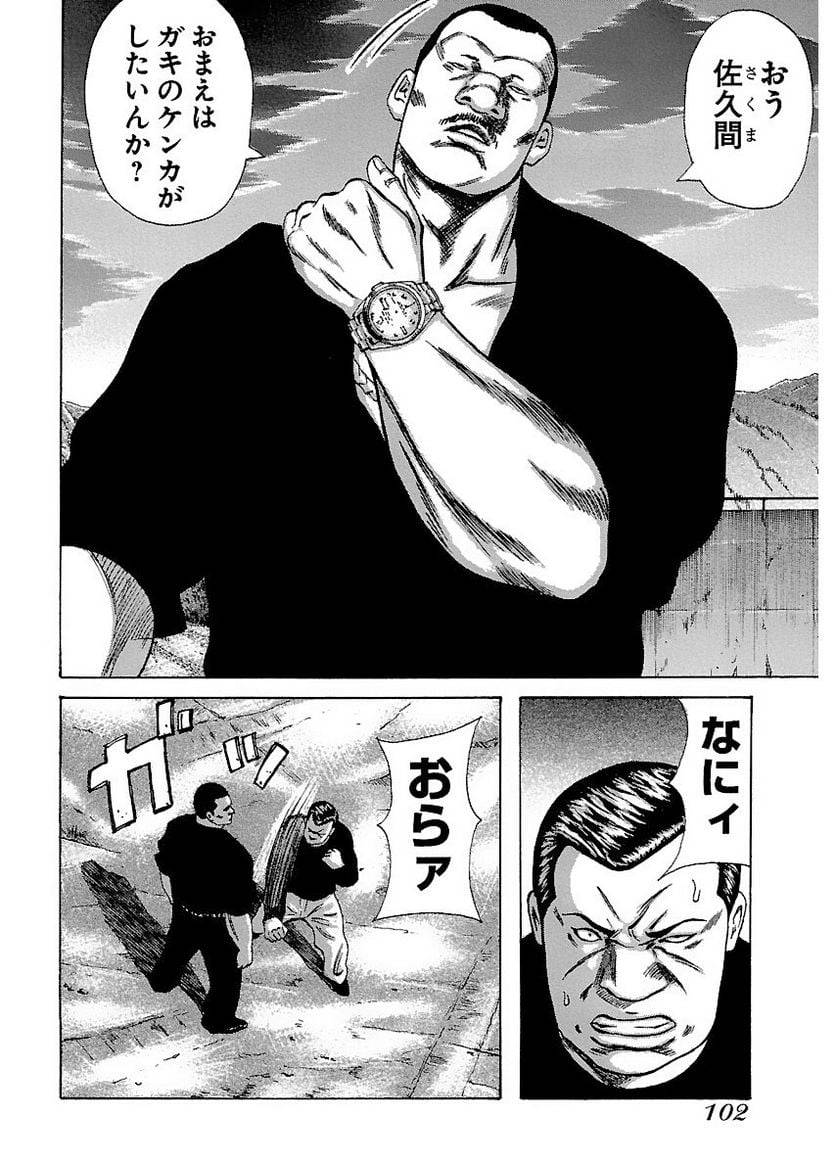 Page 101