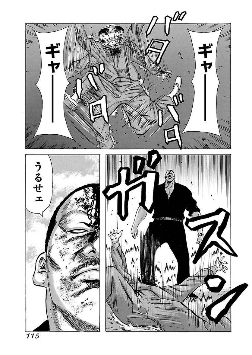 Page 113