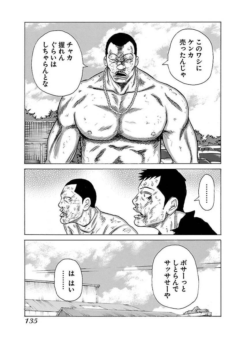 Page 133