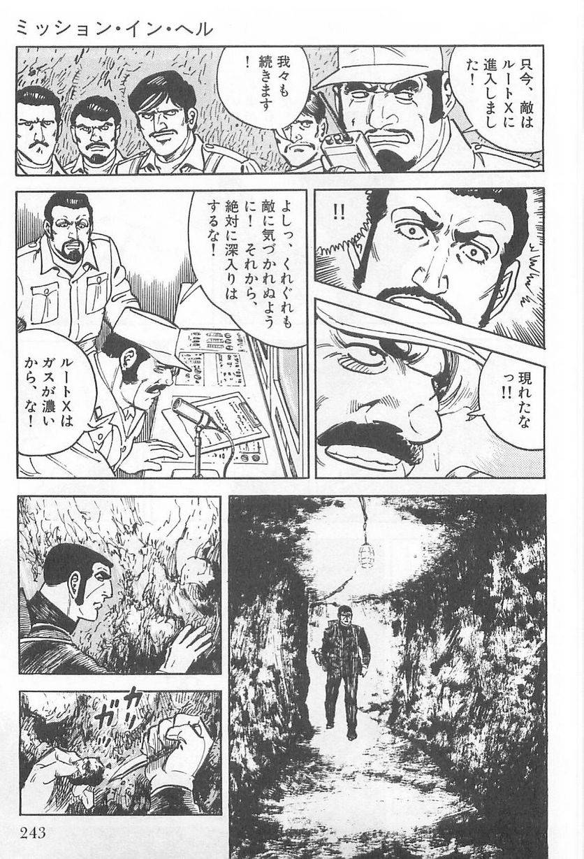Page 243
