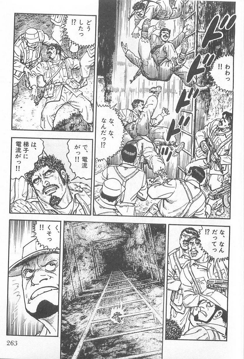 Page 263
