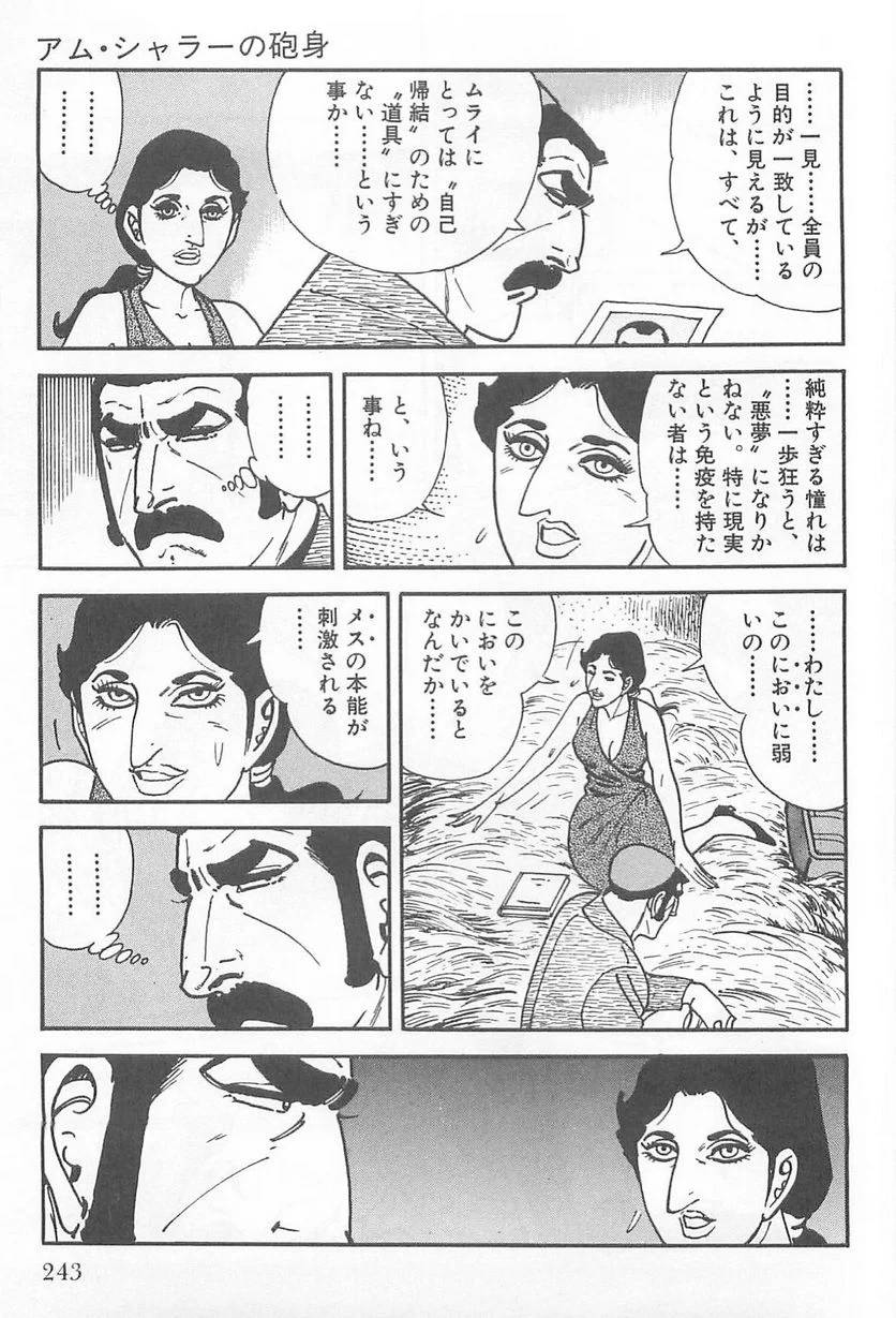 Page 243