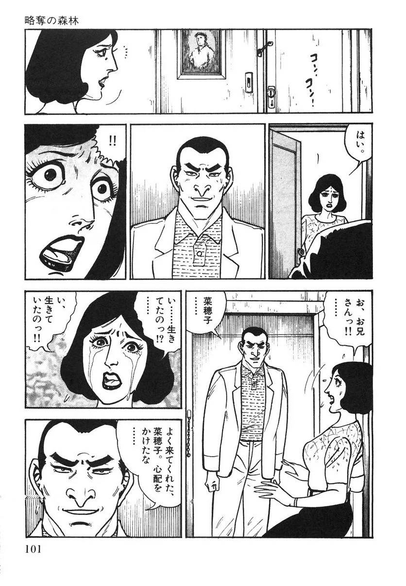 Page 101