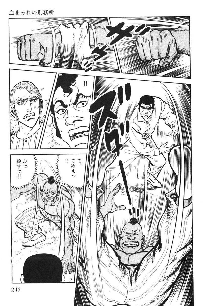 Page 243