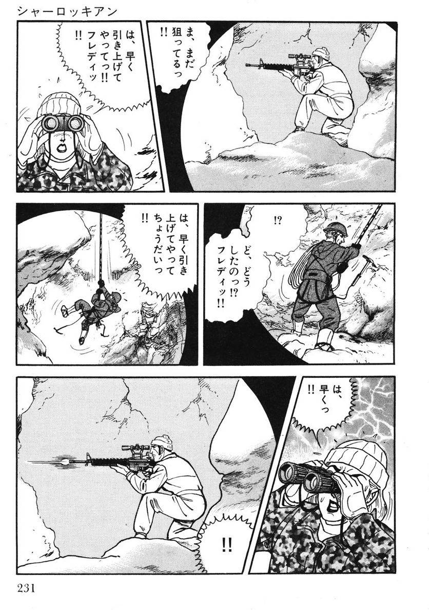 Page 231