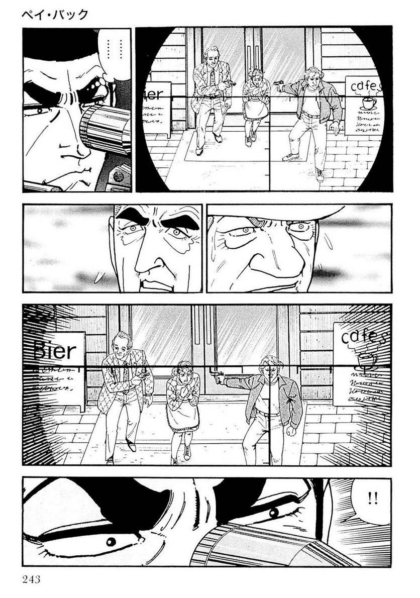 Page 243