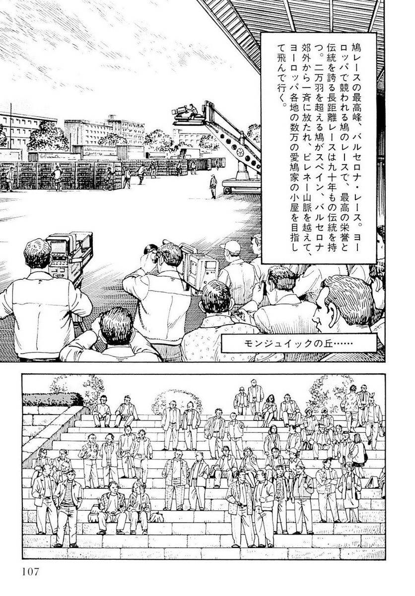 Page 107