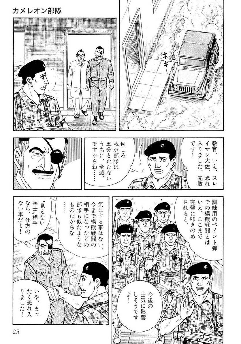 Page 25