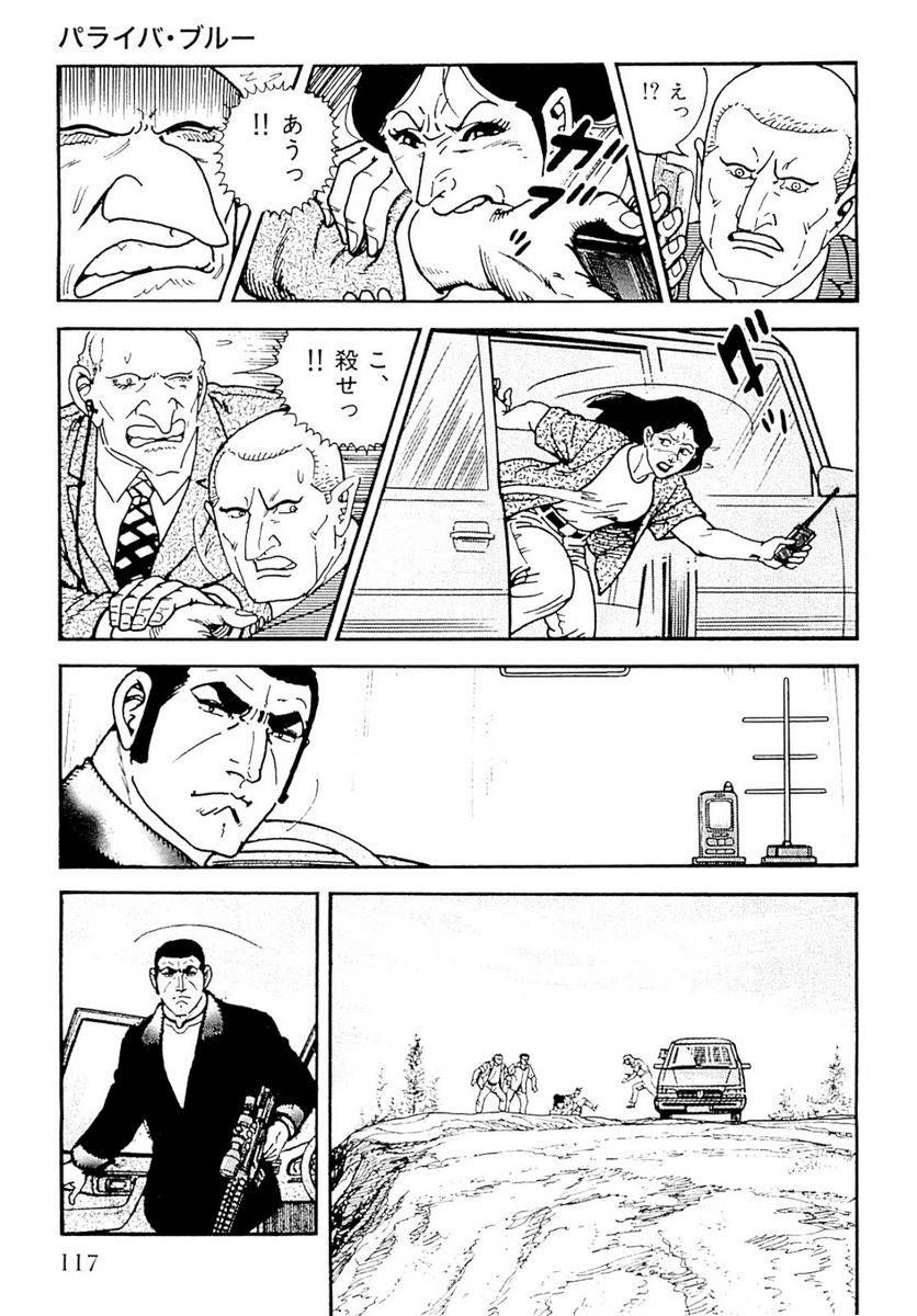 Page 117