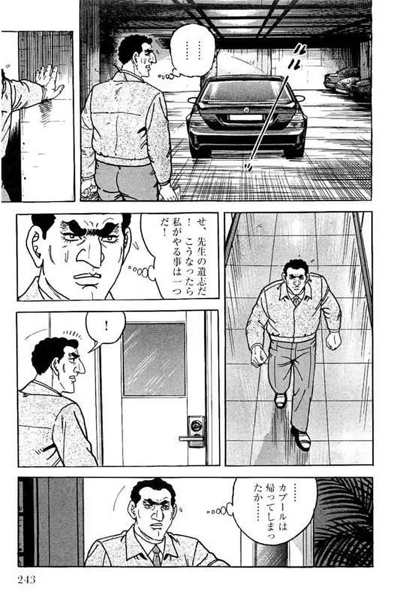 Page 243