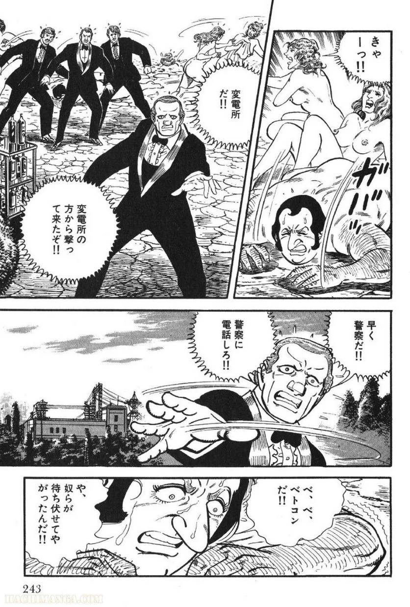Page 243