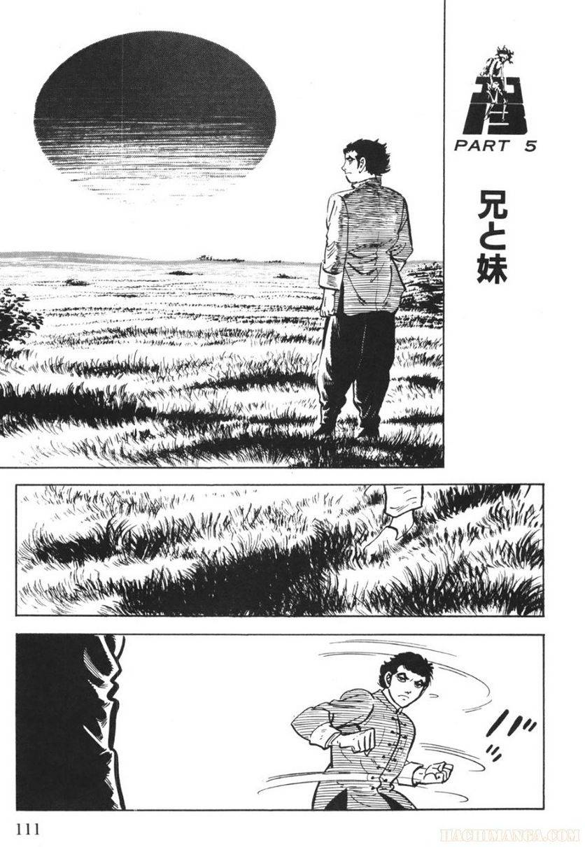 Page 111