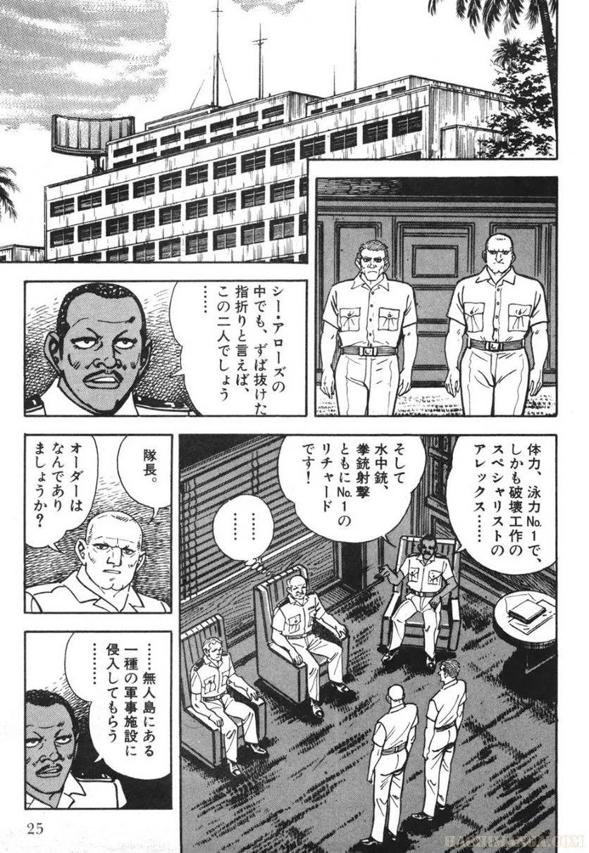 Page 25