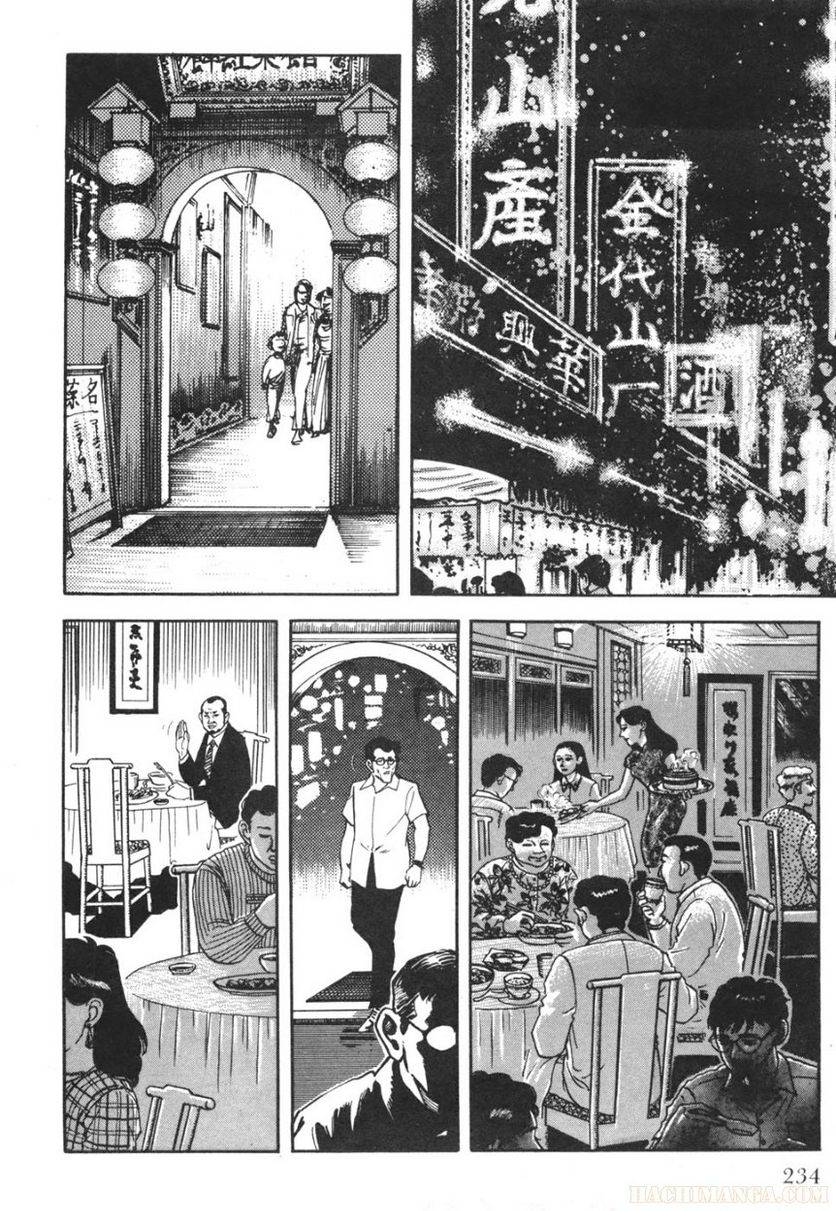 Page 234
