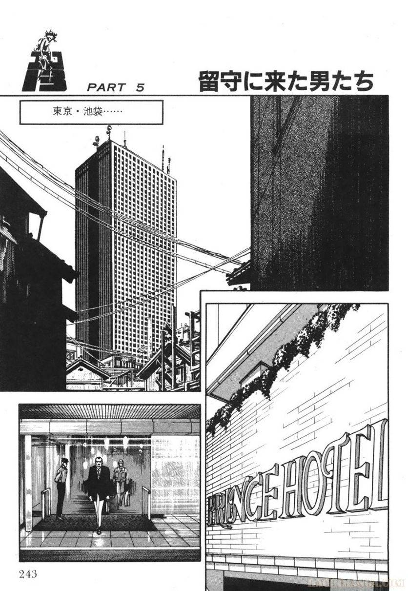 Page 243