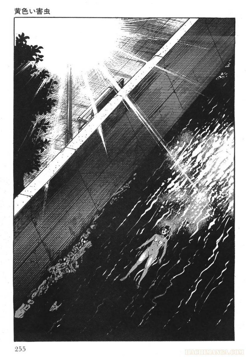 Page 255