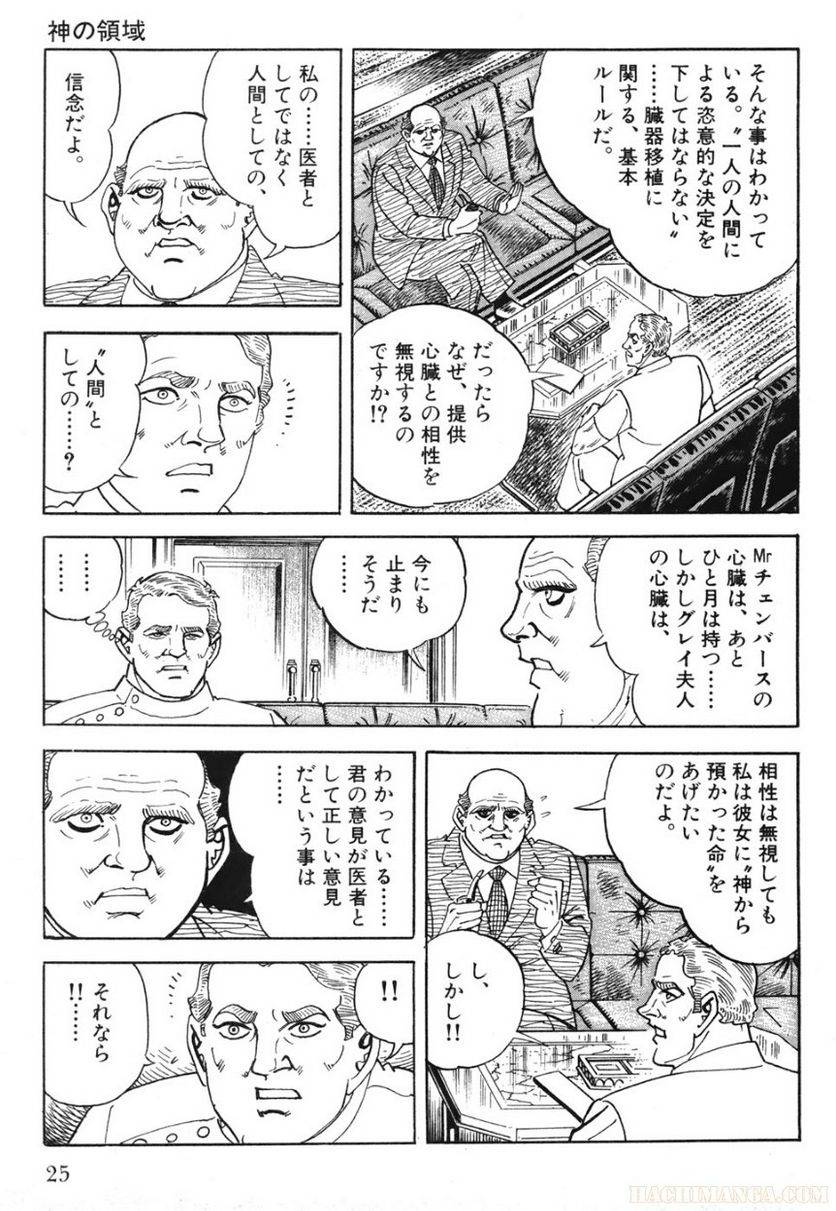 Page 25