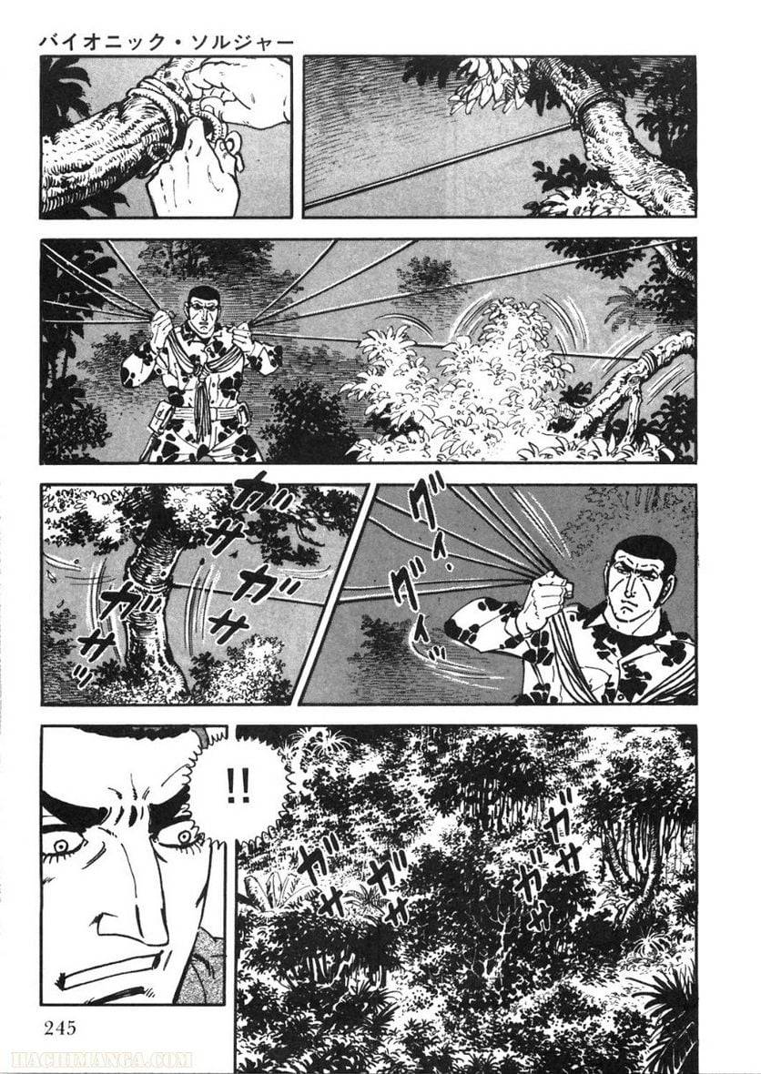 Page 243