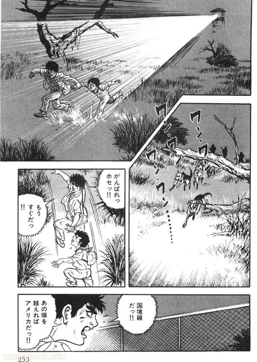 Page 253