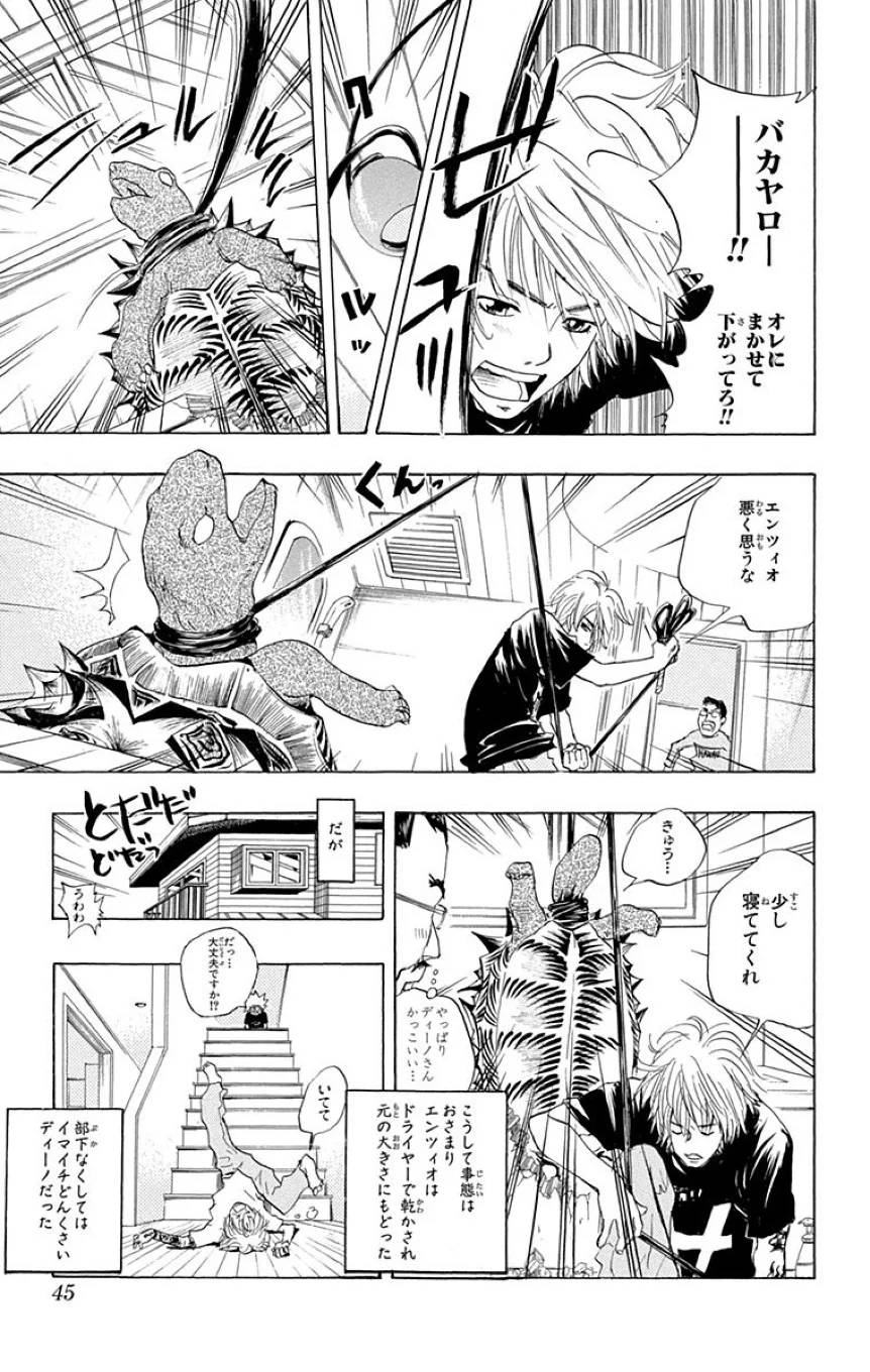 Page 43