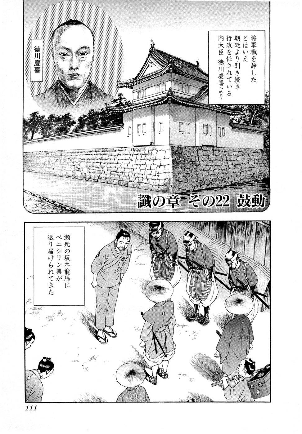 Page 111