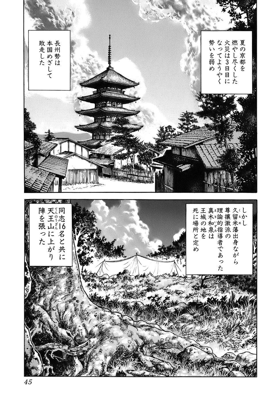 Page 45