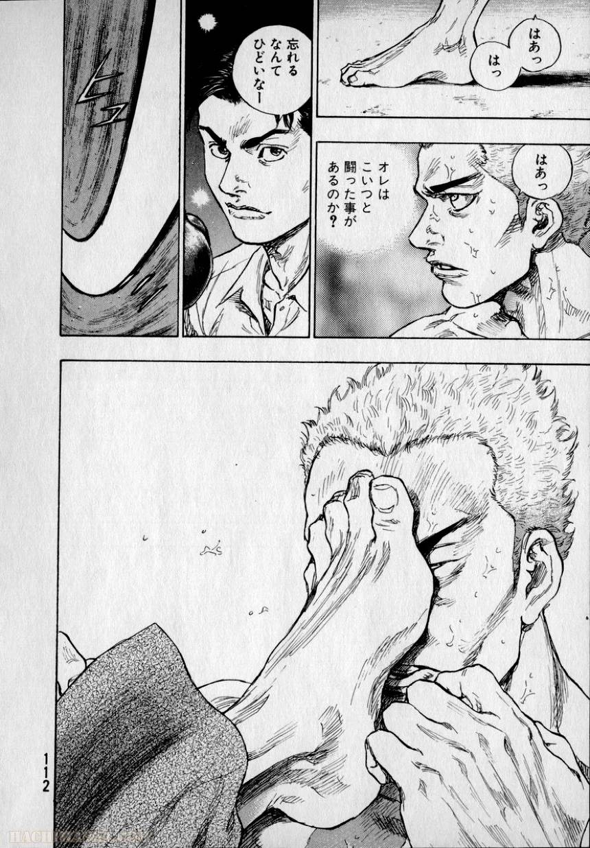 Page 111