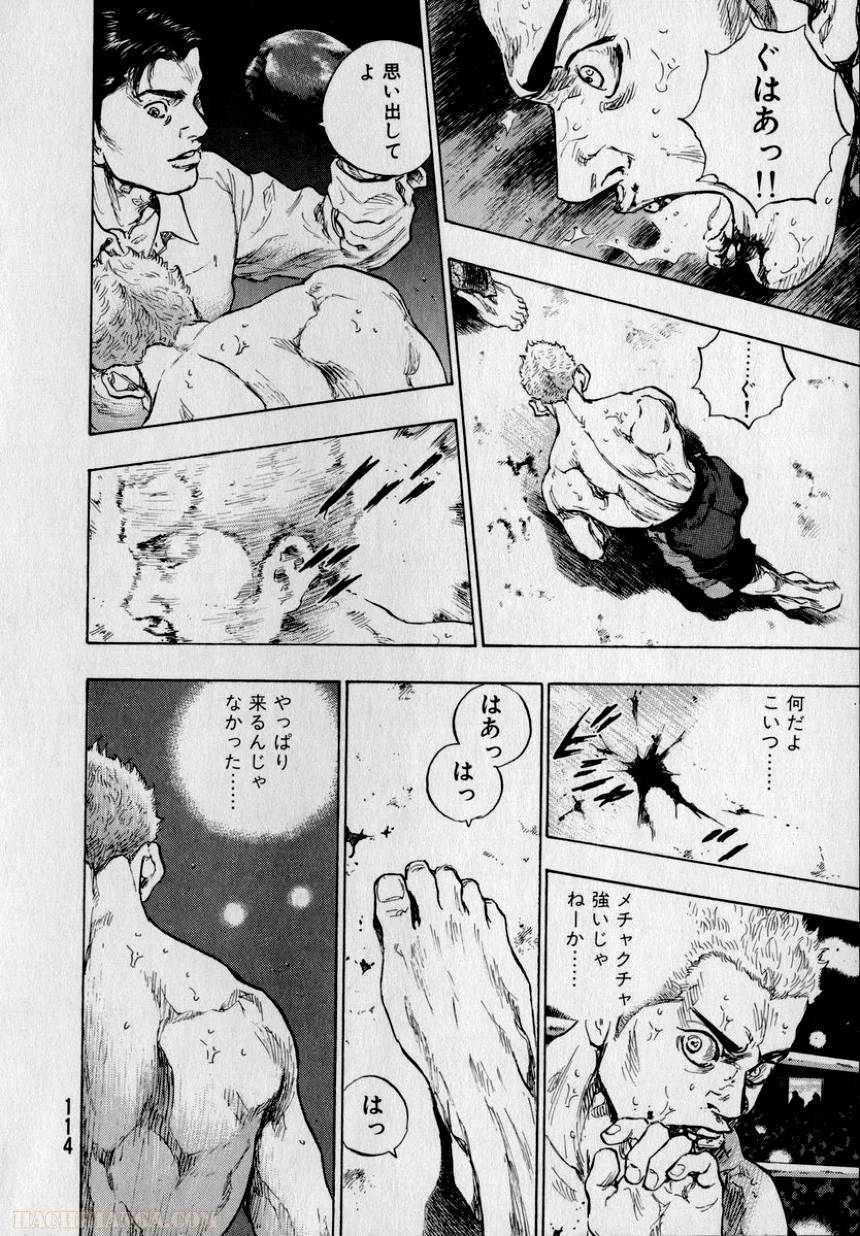 Page 113