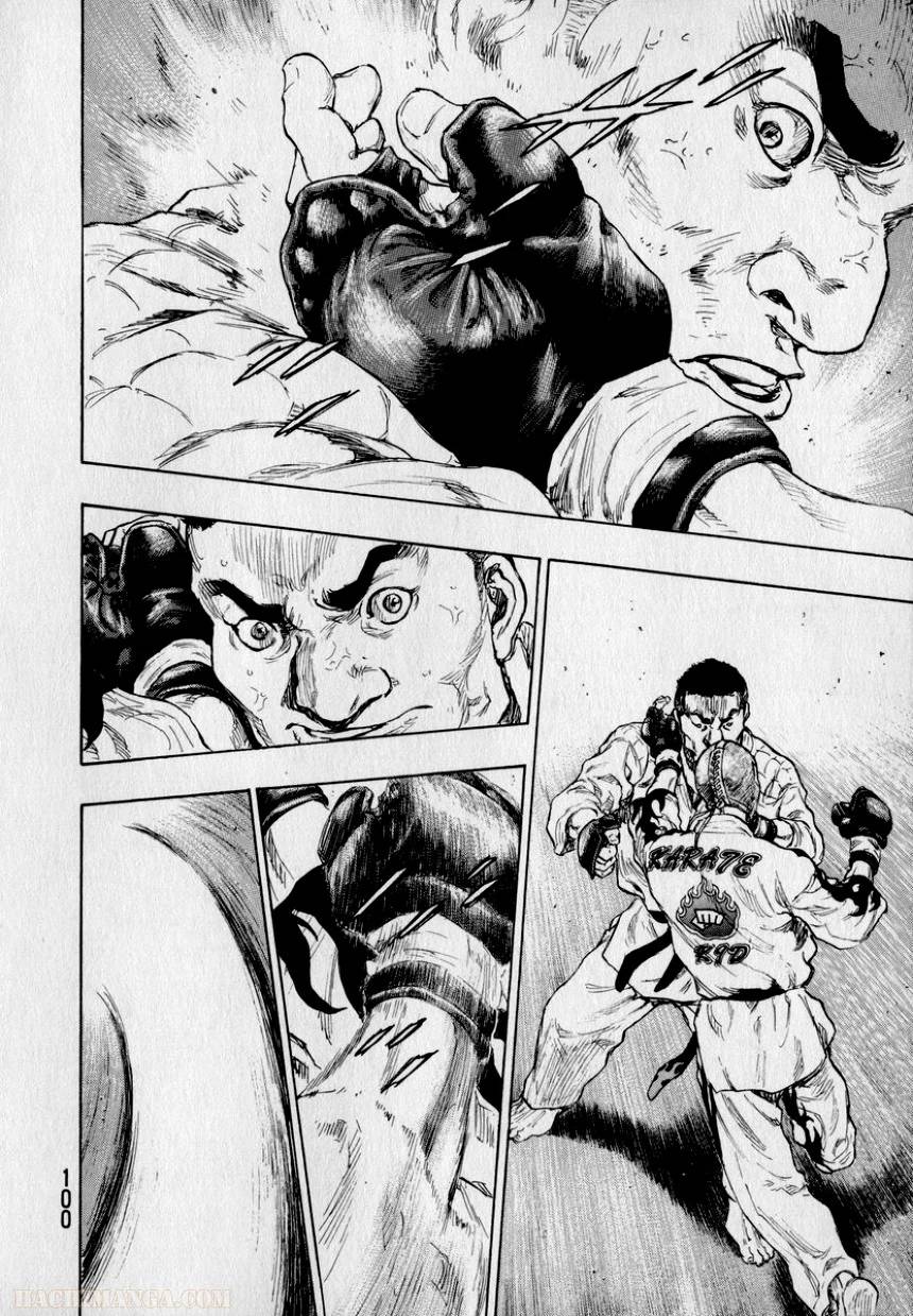 Page 100