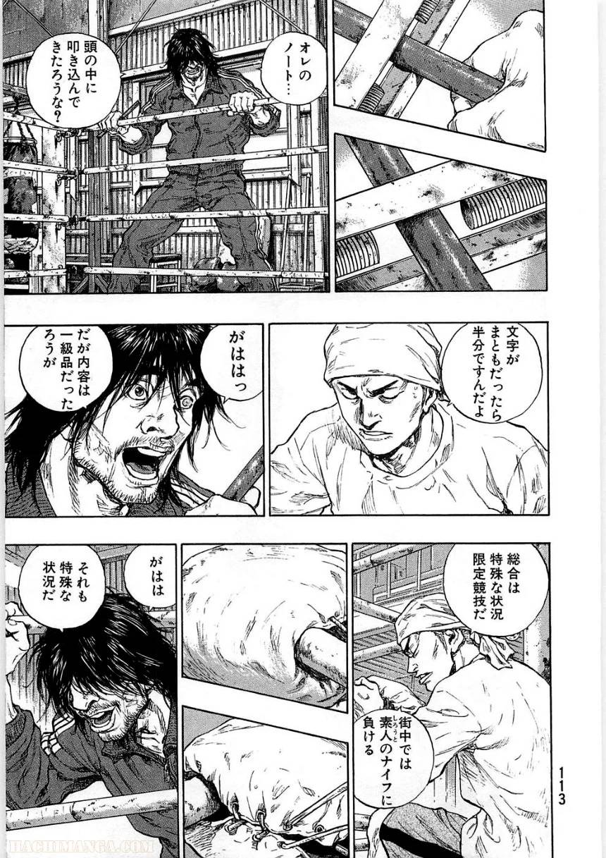 Page 113