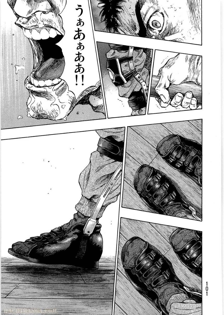 Page 101