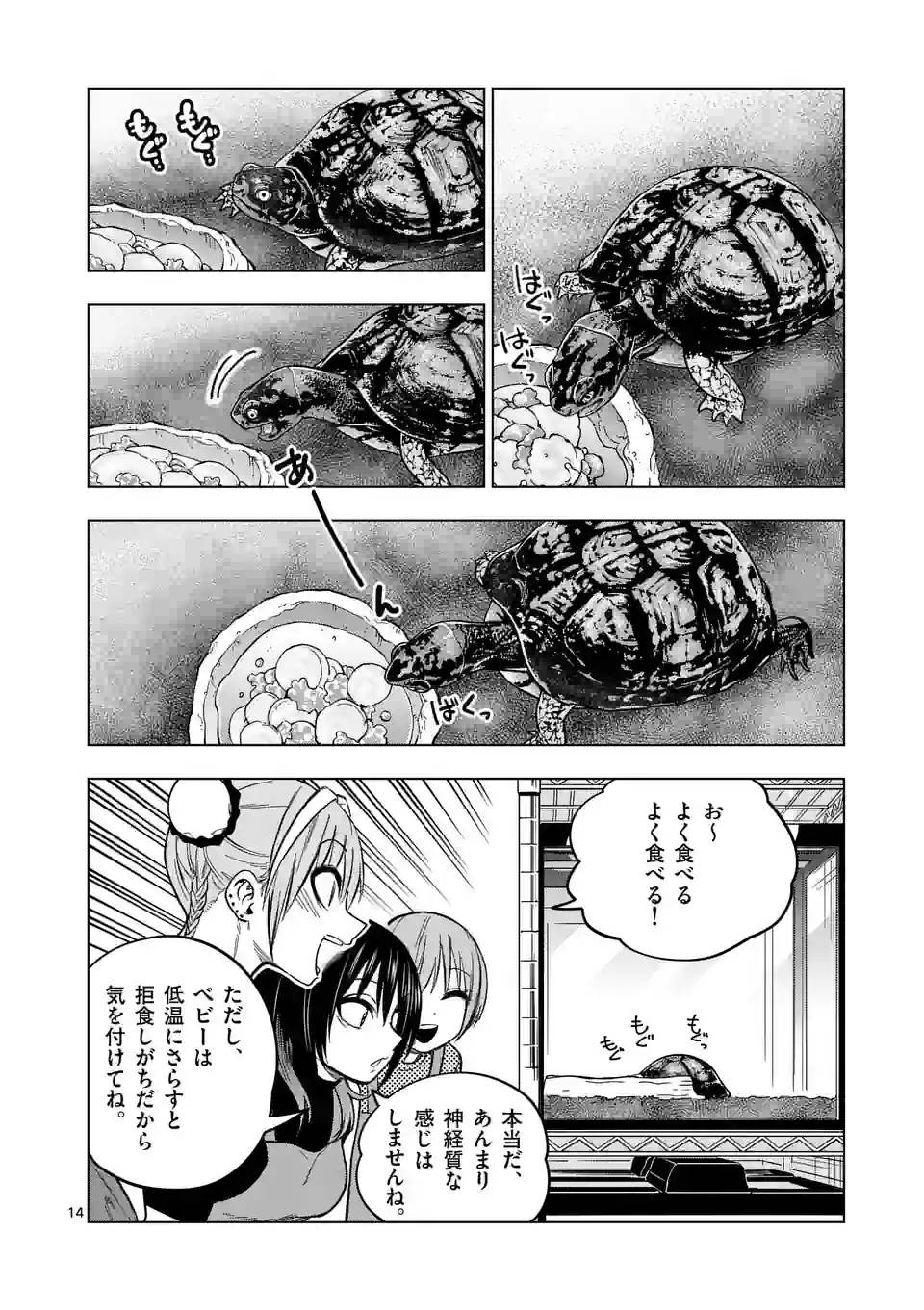 Page 13