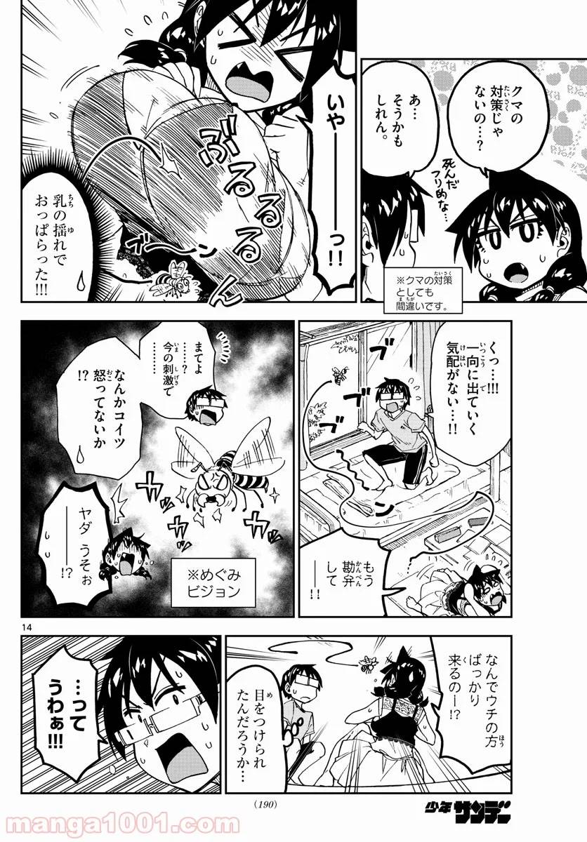 Page 13