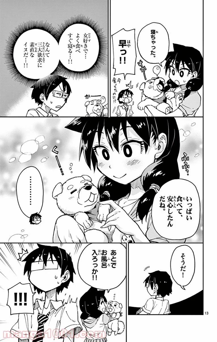 Page 13