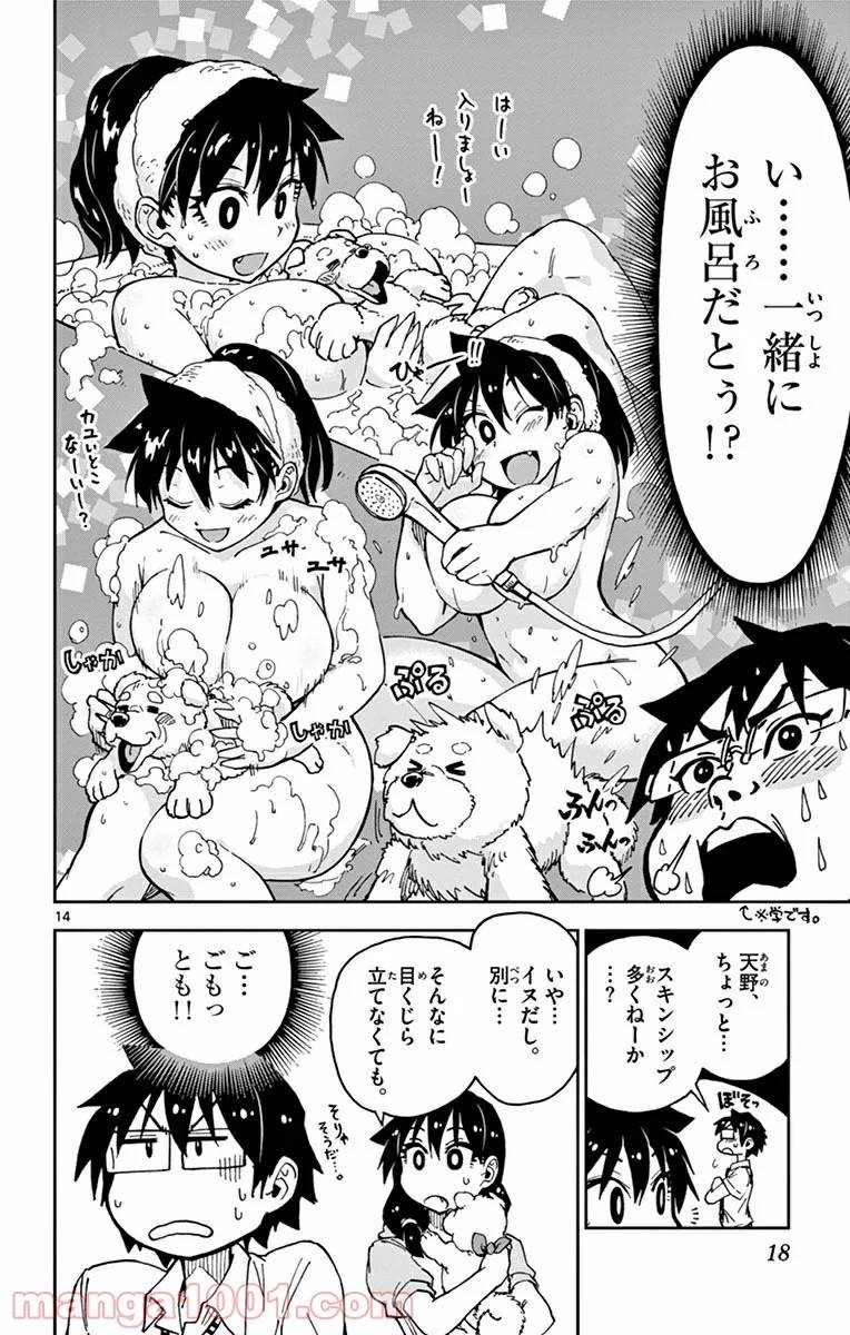 Page 14